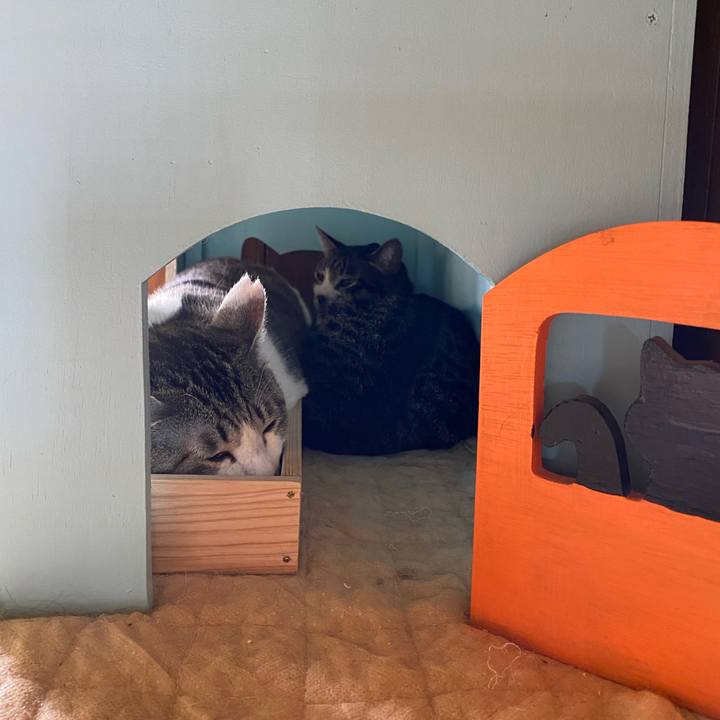 824c991b 24a2 4ce2 a854 6f6cc8e86446 1717300389118