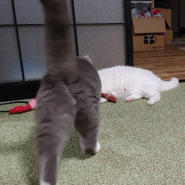 824d07f9 2c07 4dce 9ade 7149f9366b59 1633557762197