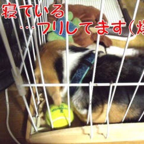 824da8c0 07f1 46fb 8aa0 0727ae6eb0b9 1691532403964