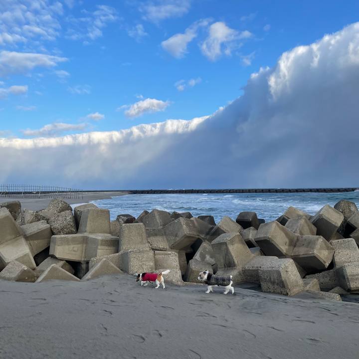 824dc65a 3f08 45bf b5e4 fe4efb90ce15 1709767014282