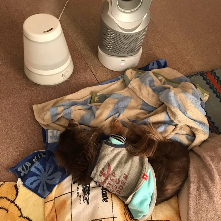 824ddafb 58d4 4657 a73b 4ed7b289d34d 1548375406862