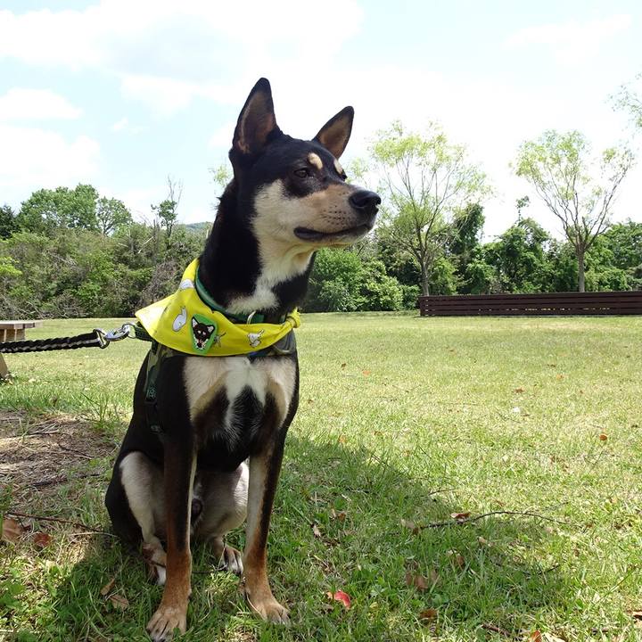 824de595 95d7 43a1 a4ce 548c16443e9c 1525437024222