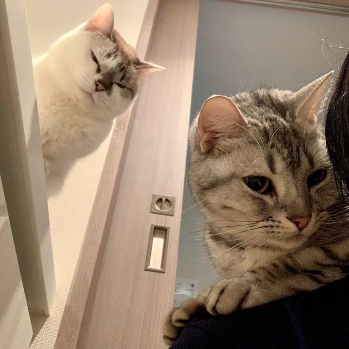 824df9df ee4c 4518 b2ff c88654b8275d 1576318092098