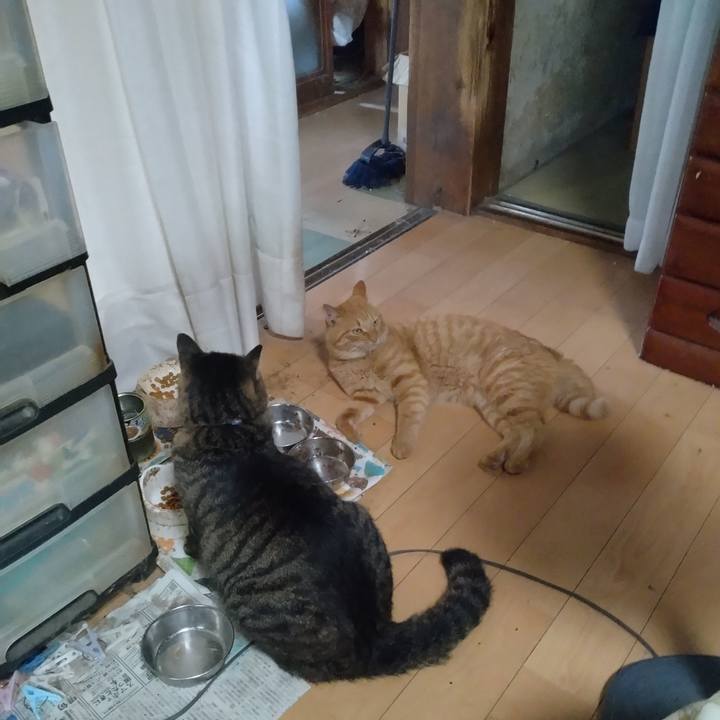 824e0c25 dfe6 42c1 8ac7 34fe46de6d88 1692744694531