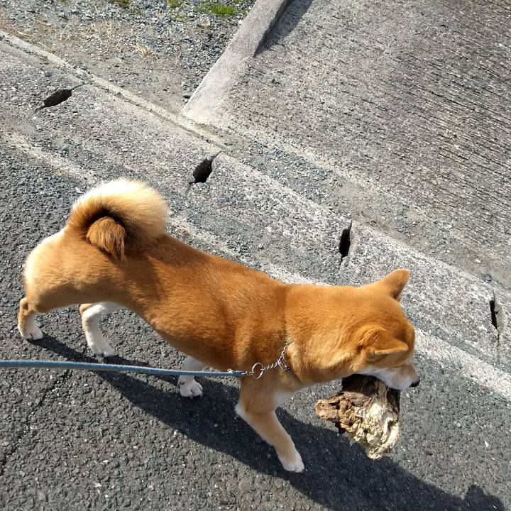 824e1b18 4d7e 48ff a0a1 b48e3c55db8e 1517309934129