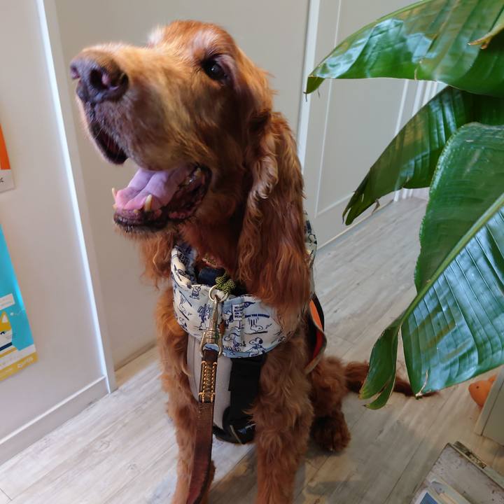 824e2474 5a48 476b b36d 4c214fd050f6 1720428594216