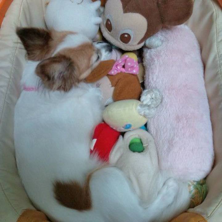 824e2719 a04b 463d a065 066c7248723e 1533002008465