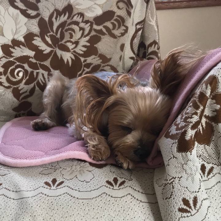 824e71f7 225f 4049 a6d8 65969b08ae9c 1569493885997