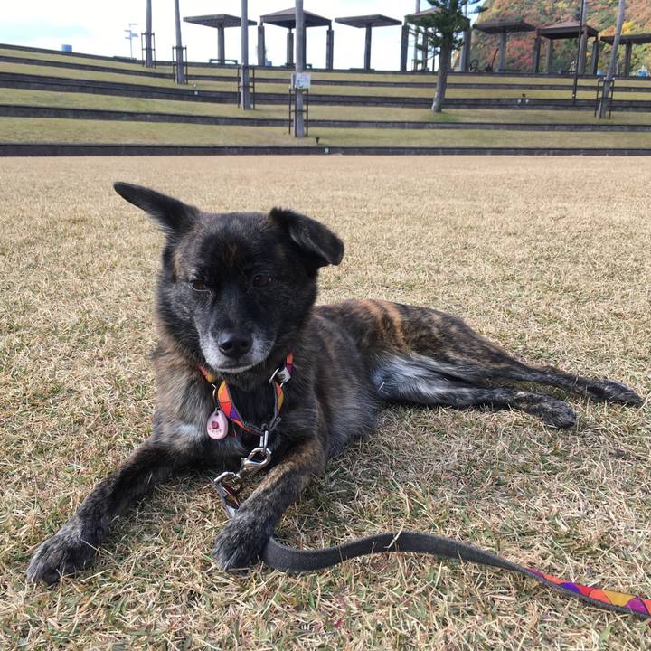 824e98b8 109d 4729 8797 67e914ccb6e4 1513782198056