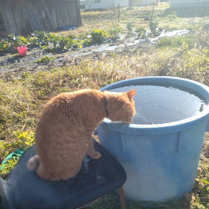 824f2d7a da23 4d72 b42b 3527d5ffe181 1670816767537