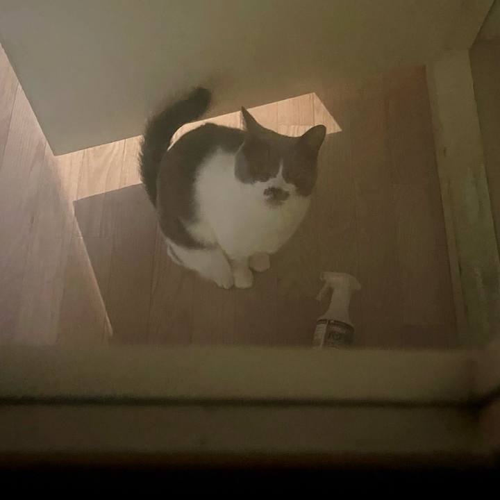 824f3f4a f16b 4da6 8a64 0195ab640e23 1708665575170