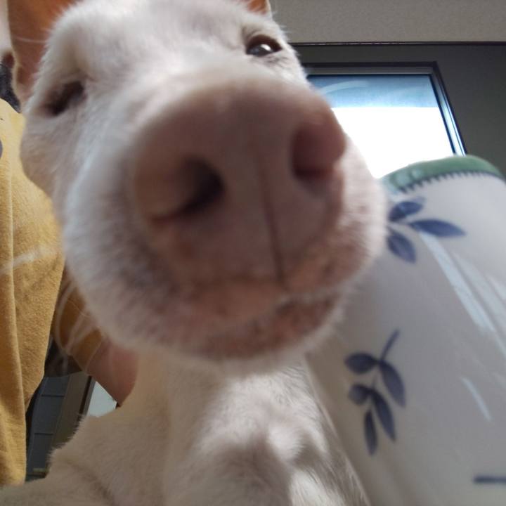 824f46cc 0fd8 47f9 bf0a f9557740fbe5 1593818948678