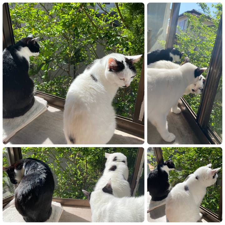 824f4b35 b43b 4d2c acec 351cdd6b62fa 1681086397112