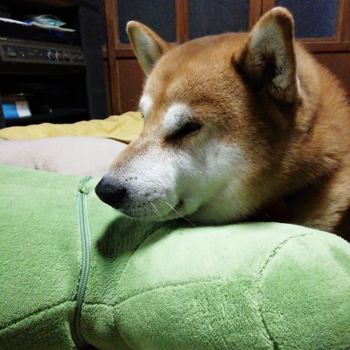 824f4faa a53e 46e4 96c6 4101931f6b15 1645786400945