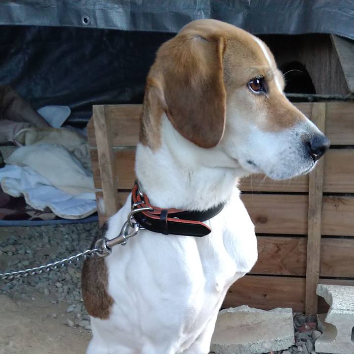 824f87ef 6d87 4de1 aad6 6dbd713e320e 1643012488018