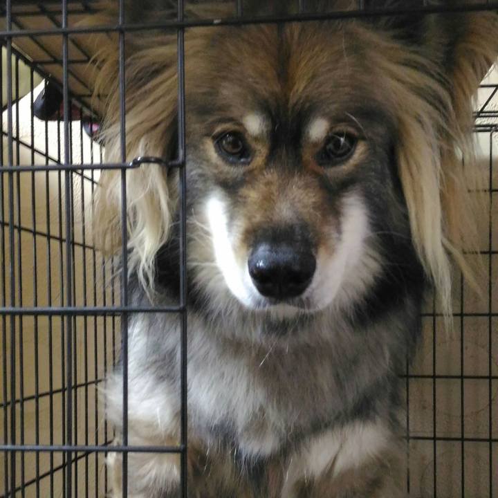 824fd32d 79c1 4718 9325 4d0f33f486c4 1528244452427