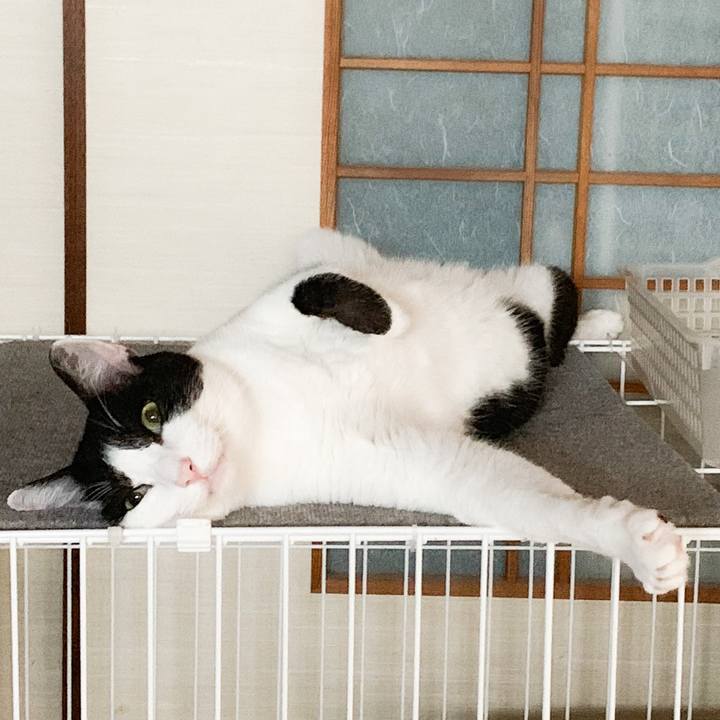 824fea55 0c2d 4995 8525 15deea480de3 1569118948946