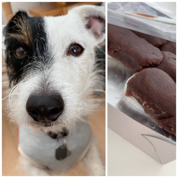 82500aa4 6eef 48d9 86f5 adb59e5c2222 1547442332355