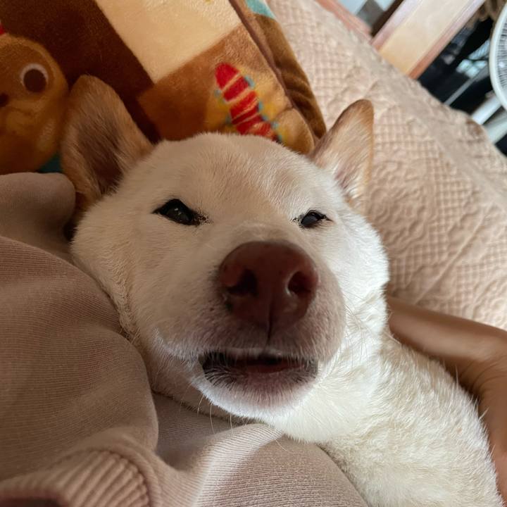 825025bf 3157 41f9 8db4 b742467c3a85 1648619454842