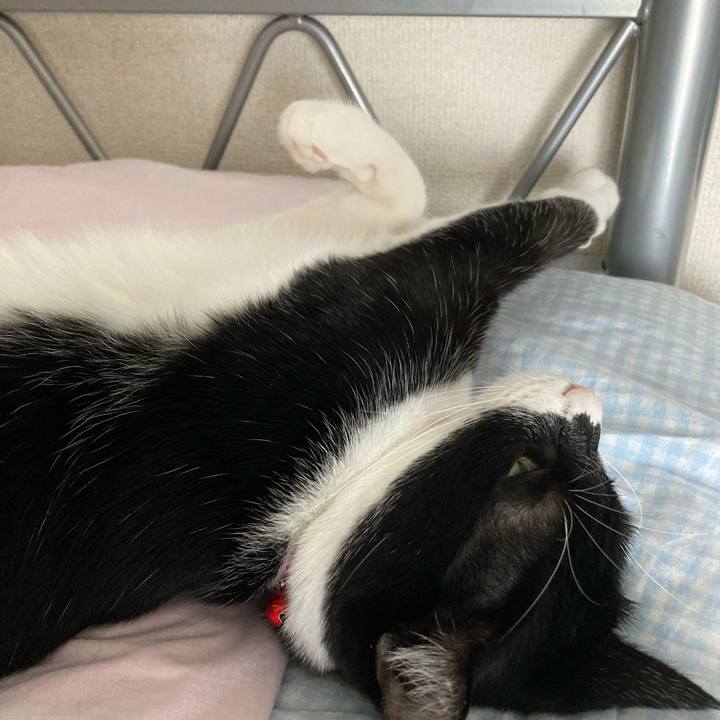 82505958 2782 4cd1 af2d 04dd69e11370 1620383805591