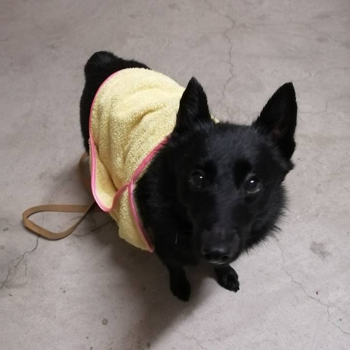 82505a52 defc 4f19 bb51 69fe5116bdc3 1639693178171