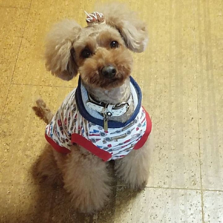 82507e40 428c 4114 8c1f f4bb9c47c3b9 1510759743687