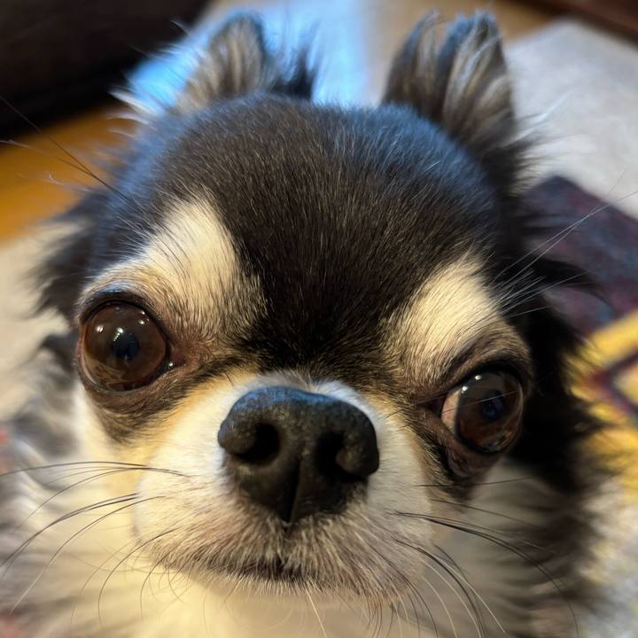 8250a854 dee4 44e8 b860 89139bf656e6 1723677047283