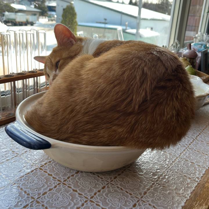 8250f232 e262 4eae b542 d4e7331322f8 1677560688906