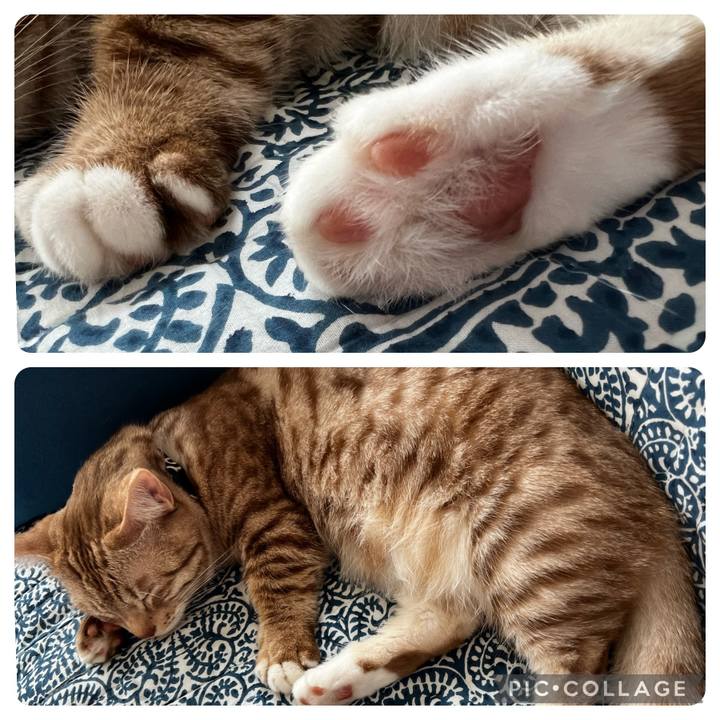 82514522 9e11 4b71 9e36 be99ff9a1881 1693800848283