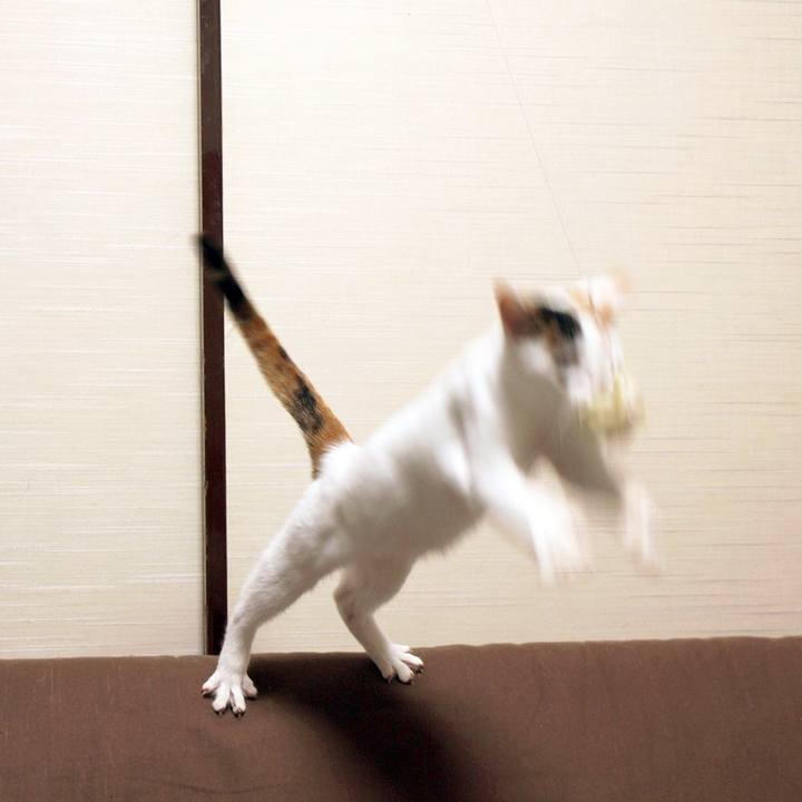 8251746c 27ea 4b40 9a09 3c57b92c23ef 1544196672162