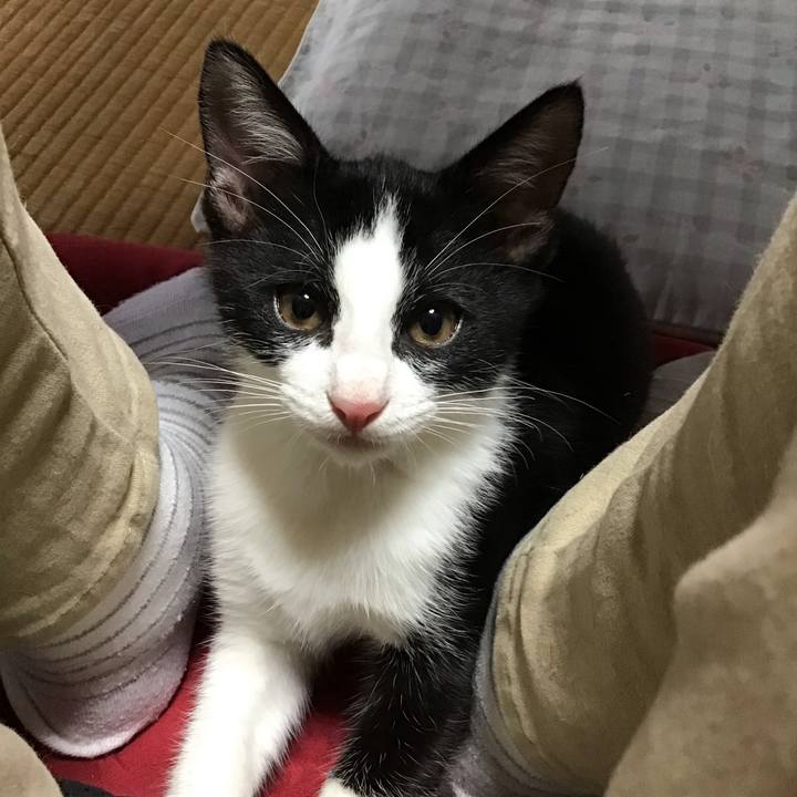 8251747d 512b 4bc8 b9d8 15c4a8b820b5 1626240969565