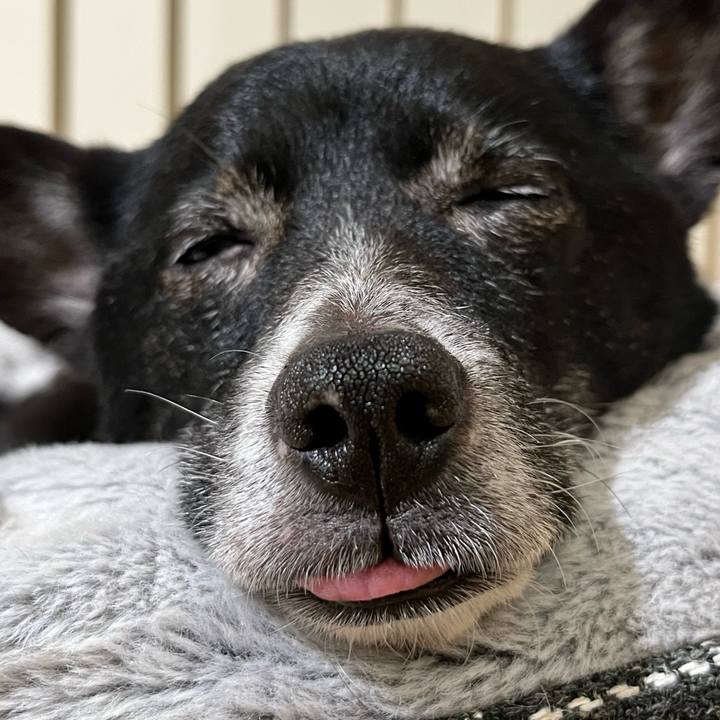 82517efd 804f 4cf8 8405 db1db076986f 1681395991866