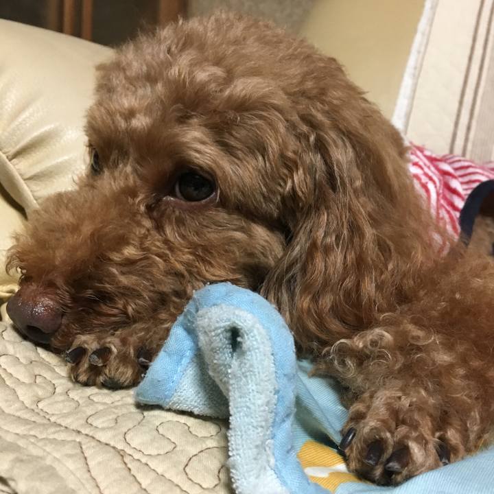 8251c1b2 a7d0 4ea1 af3c 771da3c48934 1537437822313