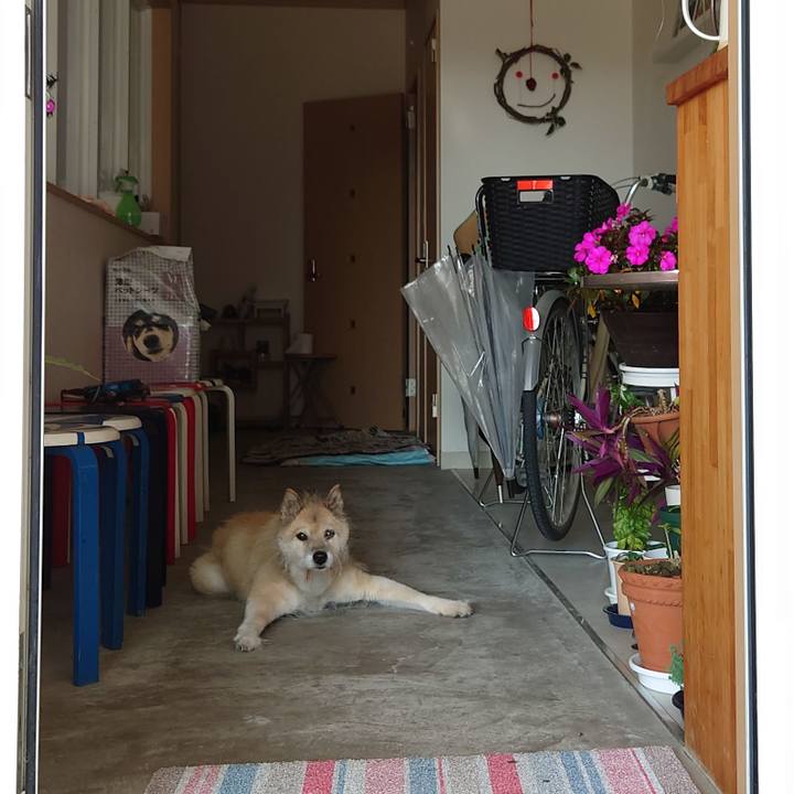 8251ce6b b5d3 4ba7 8eb2 68a41d636c7d 1639024619964