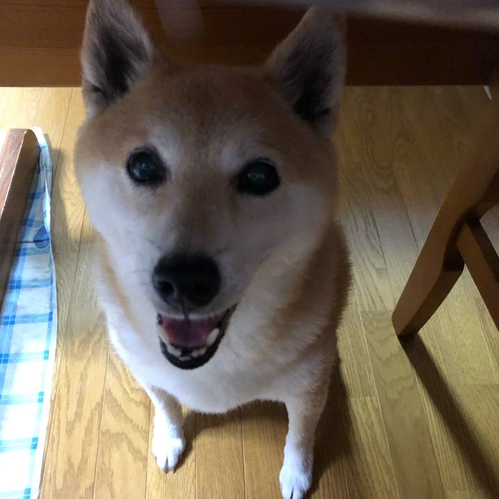 8251d0c8 e0c7 4856 8b86 256828dd584a 1594858969197