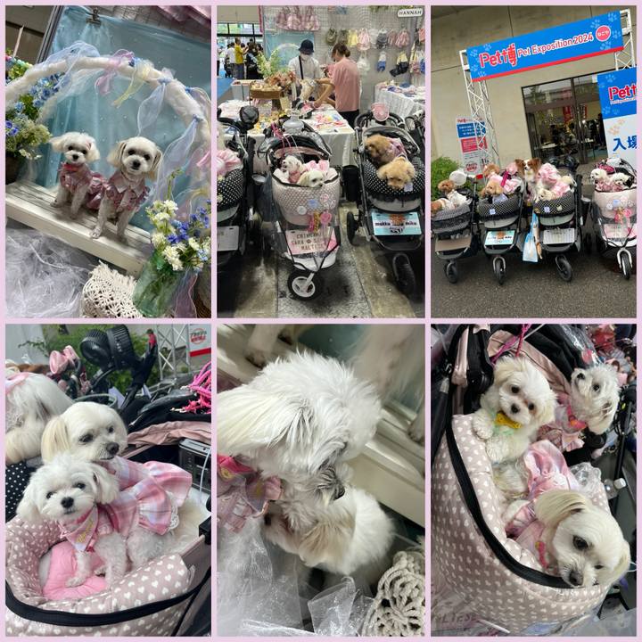 8251f69d 6bf2 46d4 afaa 596aae1e91a0 1720955545850