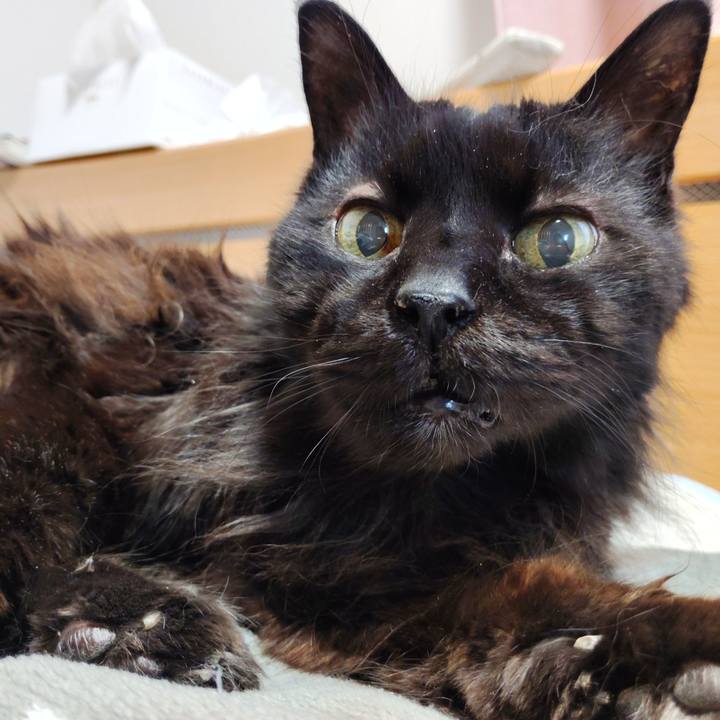 8251fd96 07c5 46b9 9bc1 48b1b58505db 1768105691334