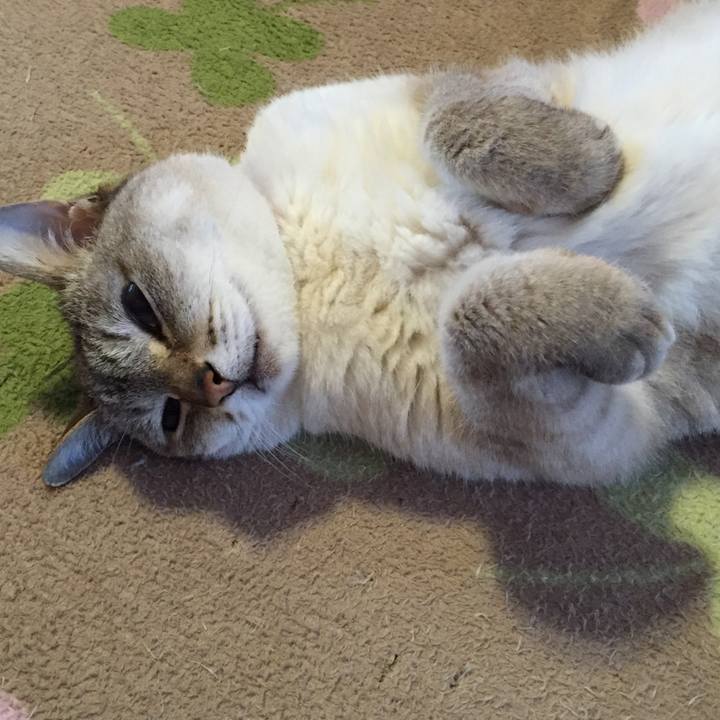 82524c89 7248 4f38 b582 870ff9b2ac1b 1527642263126