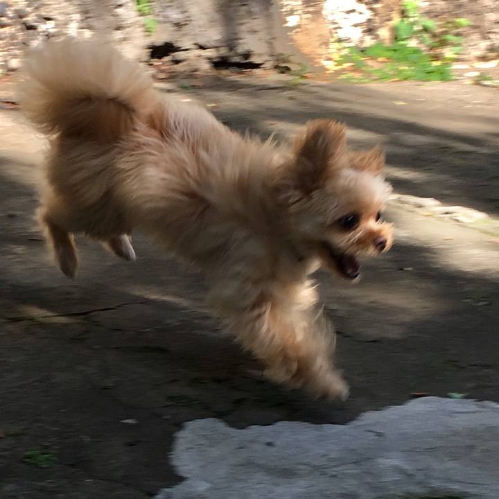 8252b1b4 fbe9 42fb 8fe0 1ea542aa5518 1559552434694