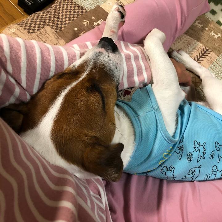 8252fb25 6046 4d08 a781 16429201ea24 1528201222602