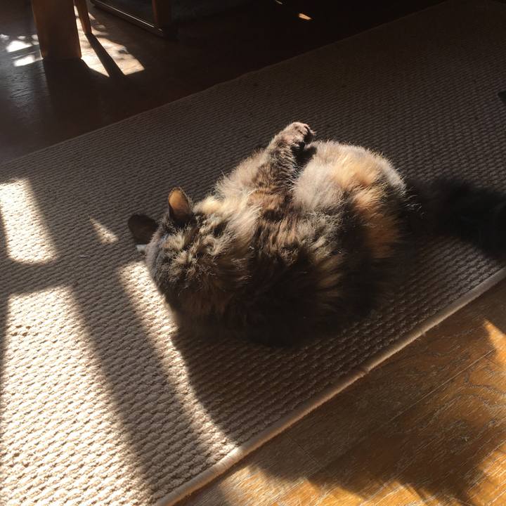 8252fb84 8c64 4b51 8f15 446465e93fd8 1580789045800