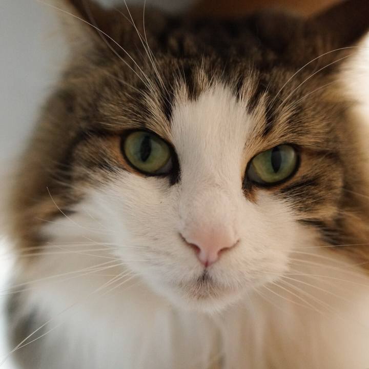 825307a5 3203 42d3 9195 807788ad611d 1581736877781