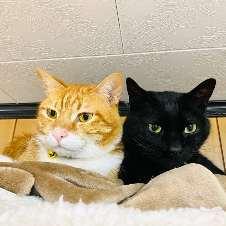 82536b1c 7c1e 4791 8e51 331f1af05834 1677399434319