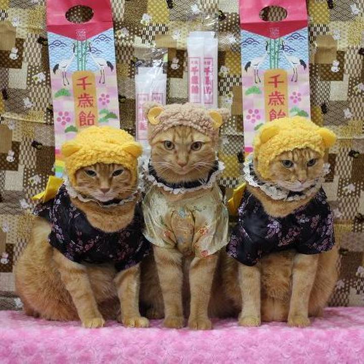 8253ab46 2adb 4b56 993e e3a5ebda1304 1605439344707