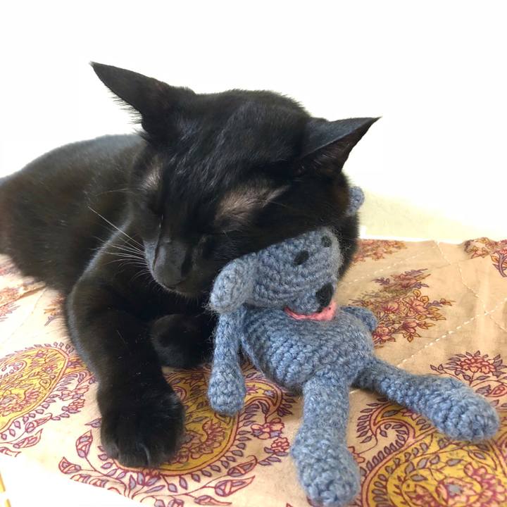 82542502 eb4b 4533 8fd2 3da8ca4dc2a0 1538920775383