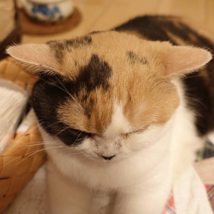 82543c76 3e02 4642 afba 1c628afeba47 1524236927636