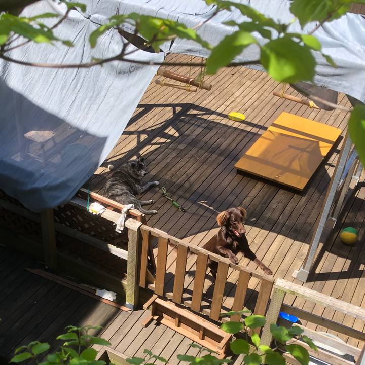 82547a11 5dc6 449d 901e e8c9a523daef 1587261418094