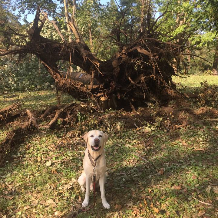 8254cf04 0bc7 4dfa 8989 27d3d1e64c57 1538473078207