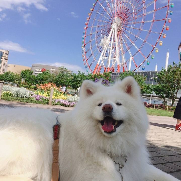 8254db4a 6964 4226 af3c 5c3326d3ed99 1556800713615