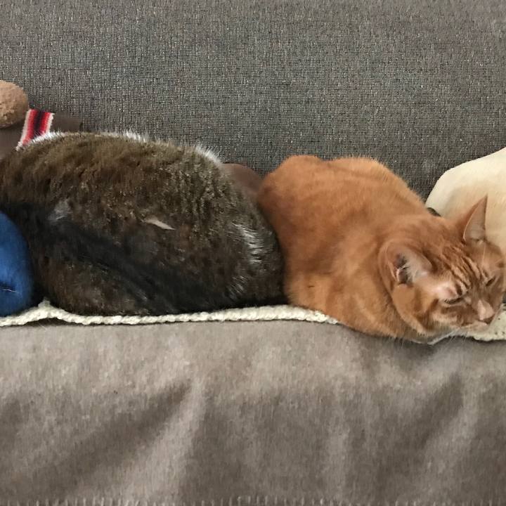 8254e515 0aa7 4454 a354 418d2cc14b70 1579934858666